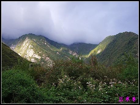 �����ۻ���:��ƺ��