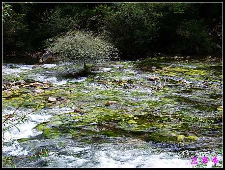 �����ۻ���:��ƺ��