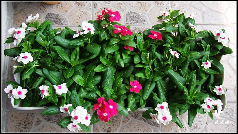 5���Ź��Ĵ����ͷ��޷��ɣ����ϸ����У�