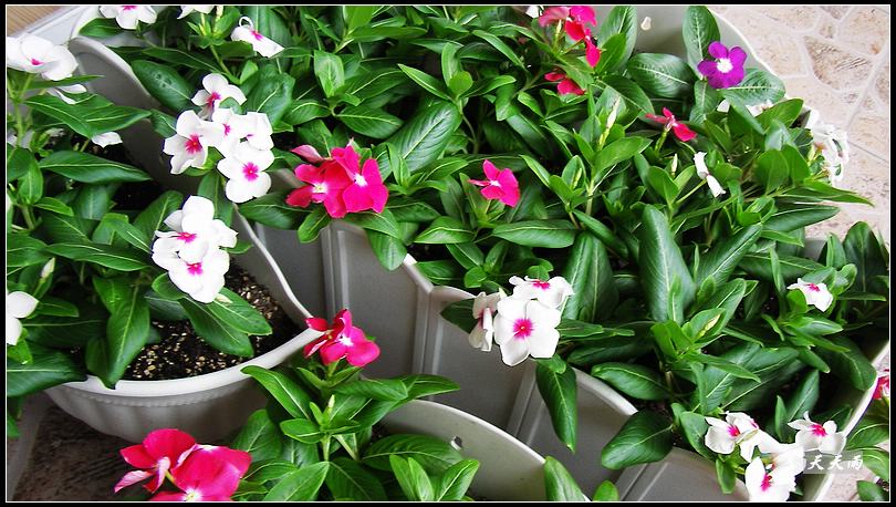 5���Ź��Ĵ����ͷ��޷��ɣ����ϸ����У�