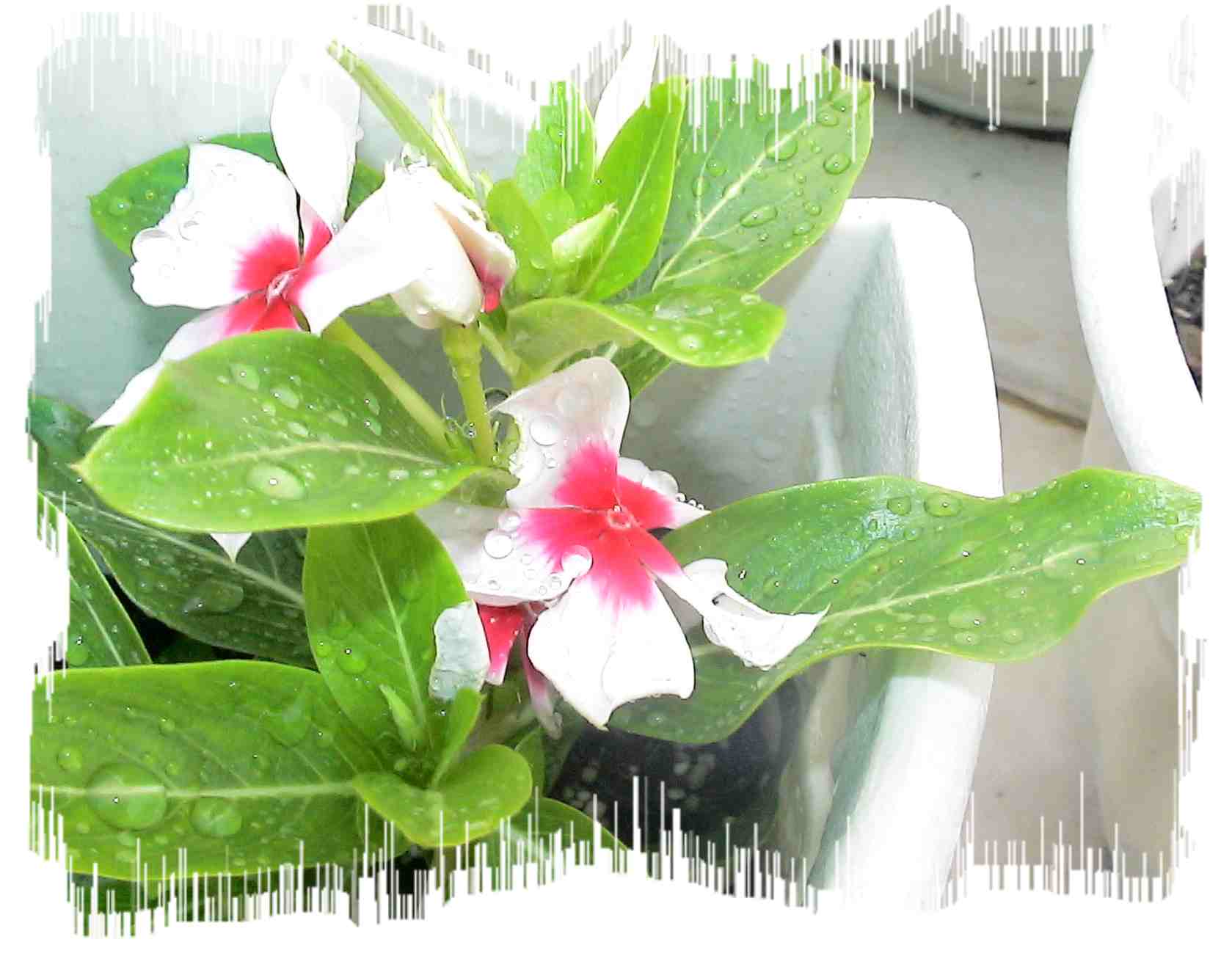 [ԭ��]�����ռ�