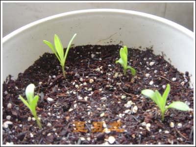 �ҵ��Ĳ�(7���ŵ���۹�, ��ʹ����ѿ��)