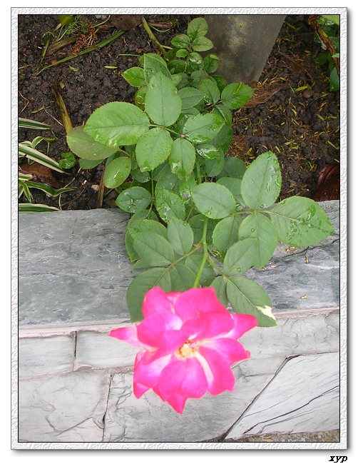 Ǥ���¼��ĺ÷���