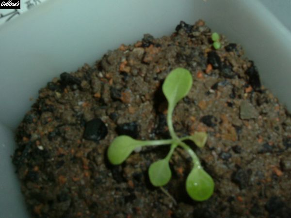 ���������ϻ���~