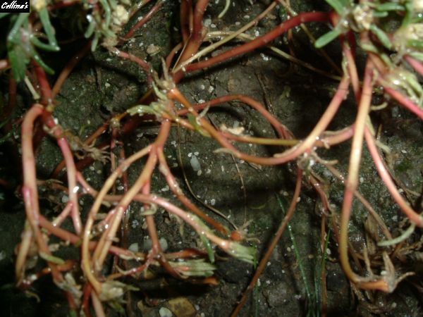 ���������ϻ���~