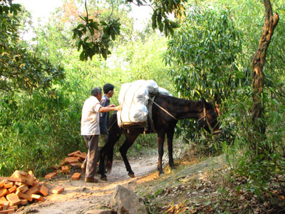 �����ҹ�