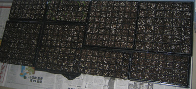 �ﲥҲ���......P13