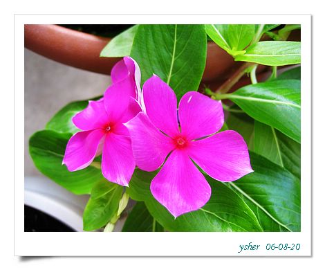 [ԭ��]�����ռ�