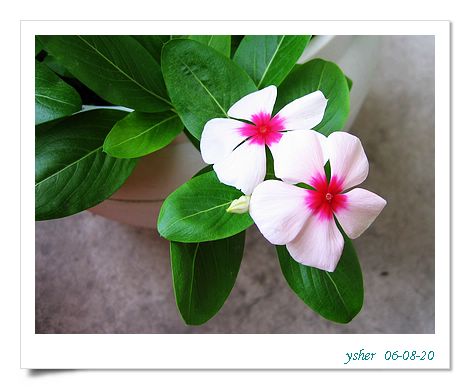 [ԭ��]�����ռ�