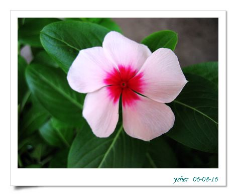 [ԭ��]�����ռ�