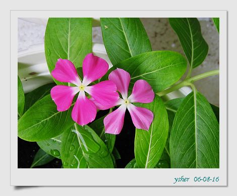 [ԭ��]�����ռ�