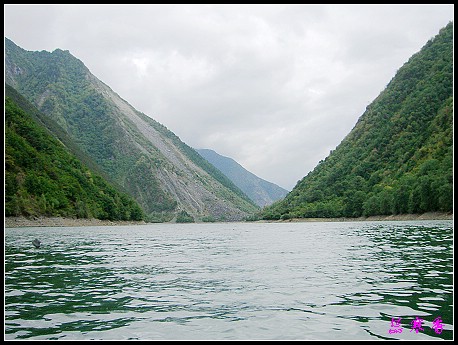 �����ۻ���:��ƺ��