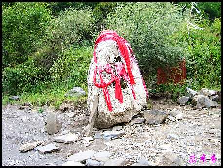 �����ۻ���:��ƺ��