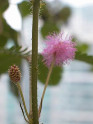 ��Ӱ��Ʒ�����������ң�8.18��ֹ