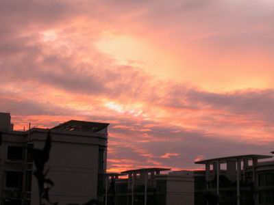 ��Ӱ��Ʒ�����������ң�8.18��ֹ