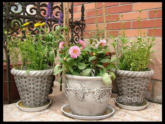 ��ʳ���������û�������(������)