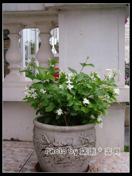 ��ʳ���������û�������(������)