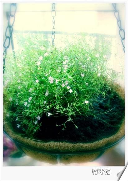 ��ʳ���������û�������(������)