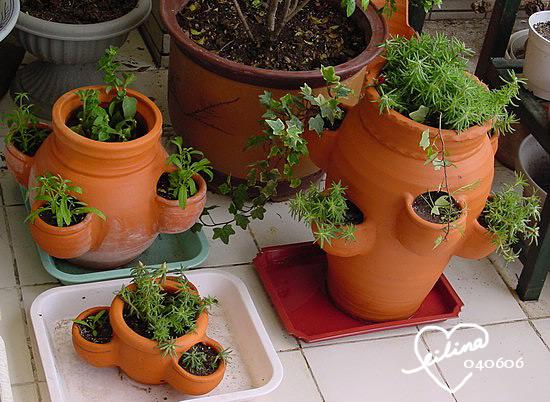 ��ʳ���������û�������(������)