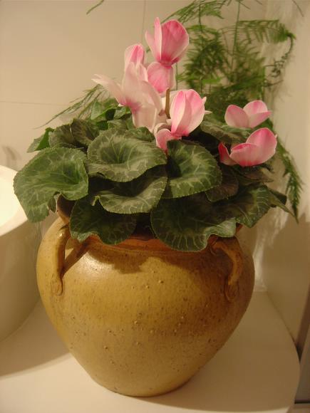 ��ʳ���������û�������(������)