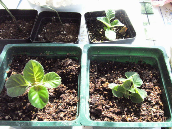 7��28�� ��ͷ16�� P2 ���� ����ͩת������ר��