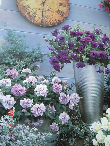 ��ʳ���������û�������(δ�����)