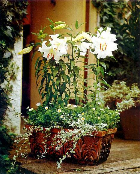 ��ʳ���������û�������(δ�����)