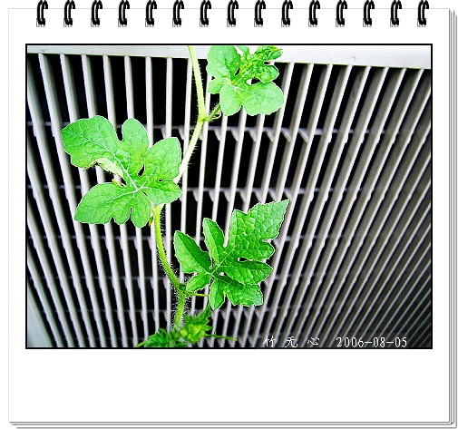 �ȵô�������...ֻ��̫������~