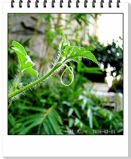 �ȵô�������...ֻ��̫������~