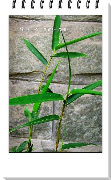 �ȵô�������...ֻ��̫������~