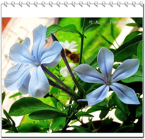 �ȵô�������...ֻ��̫������~