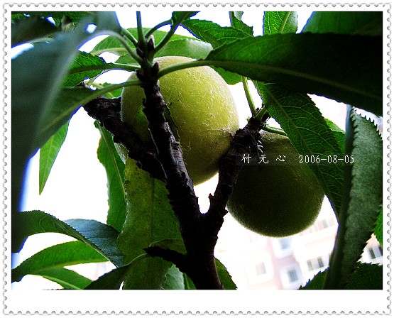 �ȵô�������...ֻ��̫������~