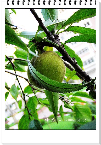 �ȵô�������...ֻ��̫������~