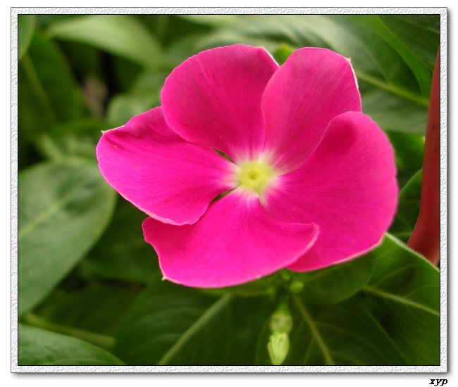 ���ڿ��Ļ�