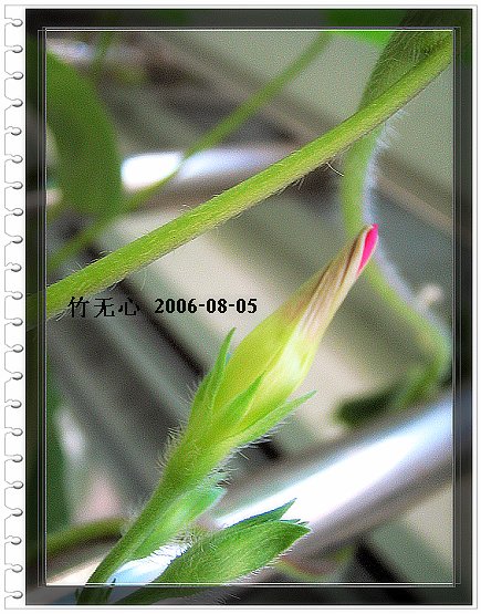 �ȵô�������...ֻ��̫������~