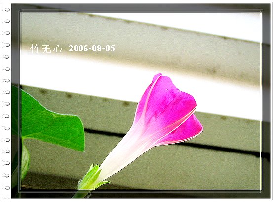 �ȵô�������...ֻ��̫������~