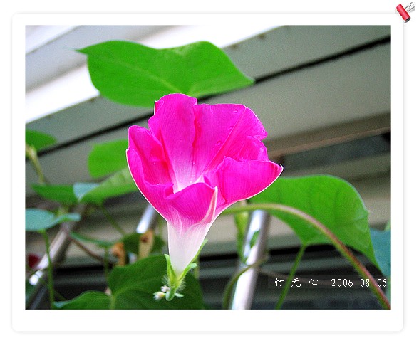 �ȵô�������...ֻ��̫������~