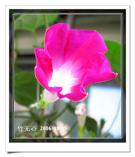 �ȵô�������...ֻ��̫������~