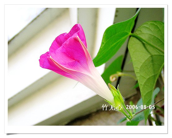 �ȵô�������...ֻ��̫������~