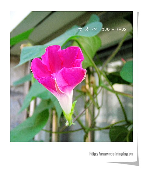 �ȵô�������...ֻ��̫������~