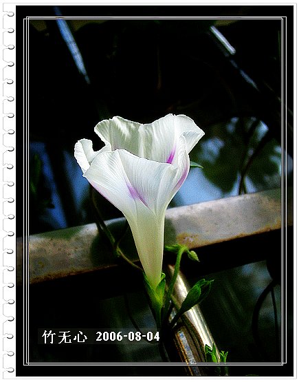 �ȵô�������...ֻ��̫������~