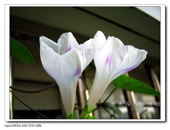 �ȵô�������...ֻ��̫������~