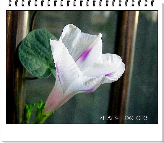 �ȵô�������...ֻ��̫������~