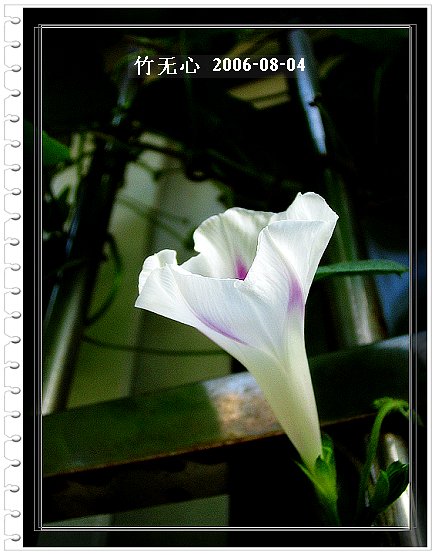 �ȵô�������...ֻ��̫������~