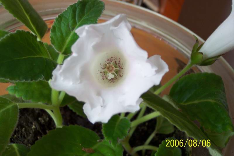 ����ͩ������7ҳ12��ĺ�ɫ���꣩