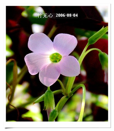 �ȵô�������...ֻ��̫������~