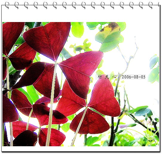 �ȵô�������...ֻ��̫������~