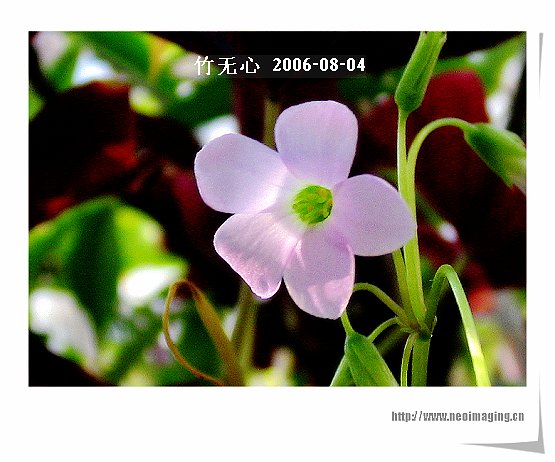 �ȵô�������...ֻ��̫������~