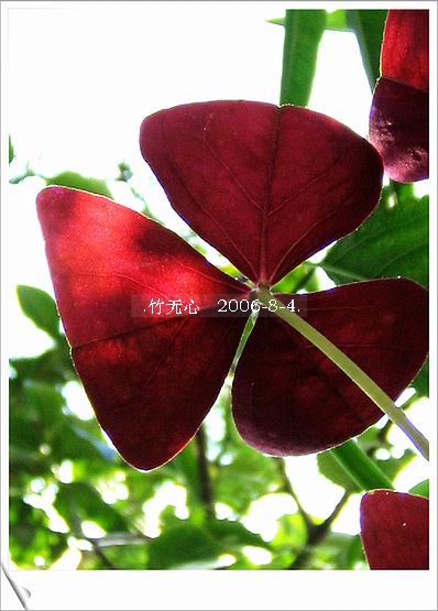 �ȵô�������...ֻ��̫������~