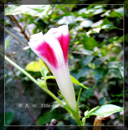 �ȵô�������...ֻ��̫������~